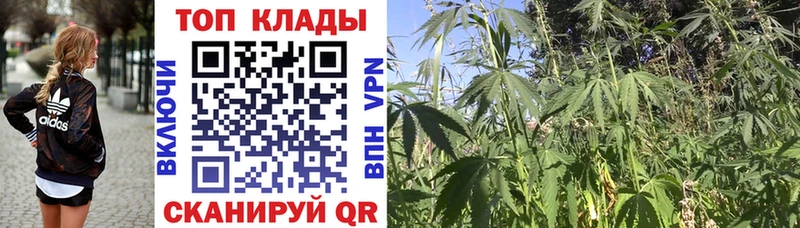 Сколько стоит Змеиногорск КОКАИН Меф мяу мяу Псилоцибиновые грибы МАРИХУАНА