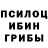 Галлюциногенные грибы мицелий Pernille Molloy
