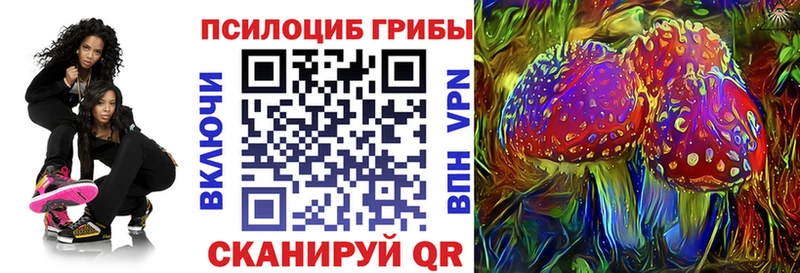 Галлюциногенные грибы Psilocybine cubensis наркотики Змеиногорск