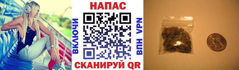 площадка клад  купить  сайты  Змеиногорск  Каннабис сатива 